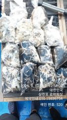 (주꾸미)100수오버~30여수까지 삼천포 대박소식~로마피싱(14일예약)