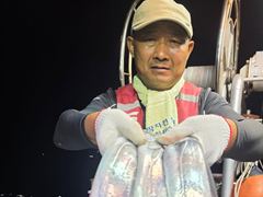 아폴로깊은장 풀치속에대치들이보이네요/낼예약가능