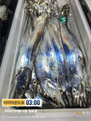 4지급 만쿨만선대박터졌다! 오늘출항! 마감임박! 전화주세요~