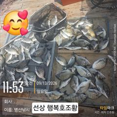 [고성] 병산 9/13 감성돔38외 엄청마리수 선상배 및선외기 흘림조…