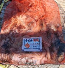 (南)남해조황 - 강진마량 뉴썬더호 9월12문어조항
