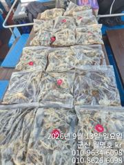 13일오후반