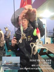 13일, 군산쭈꾸미~ 싸이즈도 점점~물때 상관없이 제대로 나오네요~굿 망탱이 조황~~군산낚시프라자 하이원호