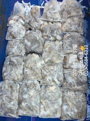 ■군산킹스타호(9/13)■쭈꾸미 마무리 조황(내일도 출조합니다