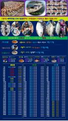 ♥붉바리들..이정도는 잡아봐야지요 초대박 붉바리조황입니다[2026년09월13일 ] ◎ 해마루호가 뜨는이유? 조황때문이죠 ◎ 핵심포인트: 바로진입.. 바로히트.. ◎ 차원이 다른 조황으로 모십니다 ▣ 요즘 붉바리낚시가 대세입니다