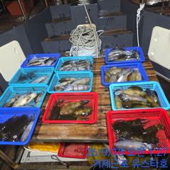 [거제] (무늬오징어) 사이즈 좋아집니다! 초보 분들도 재미가 있습니다~…