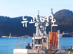 [VIP 광명호] 추석 전 기상 좋은날 먼바다 쿨러 가득 채우려 갑니다.