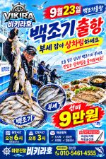 9월23일 백조기출조