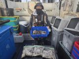 오천항금땡이호 9월13일 쭈&갑 조황