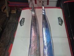 여수365피싱//갈치출조다녀왔네요//월(-1)화(-1).수요일자리널널합니다// 예약문의: 010-9070-0365