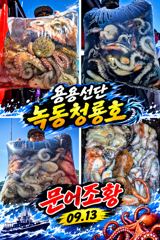 <고흥녹동> 청룡호 13일 돌문어 조황소식