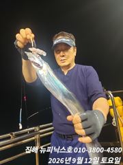 12일 텐빈 갈치 쿨러조황 입니다 월,화 출항 자리여유