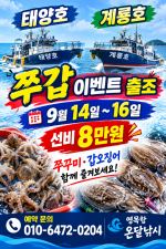 다이아몬드호 글만 보기