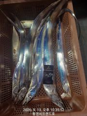 대박...대박입니다. 초저녁부터 꾸준한 입질이 사고를 쳤습니다. 1인 2쿨러조황까지.. 쿨러뚜껑이 안닫히는 상황.. 만쿨도장 쾅쾅., 오늘 자리여유