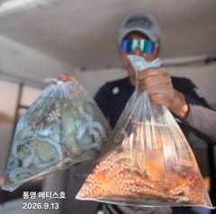 [통영] 통영] 문어 사량도 굴어장 조황 13일(일) 통영 메티스호
