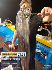 [진해] 준내만갈치)대치들이 오늘 좀 보이네요(예약가능합니다)