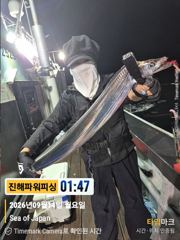 [진해] [갈치/텐빈/텐야]14일입항 2.5~4지까지 쿨러조황[화요일]예…