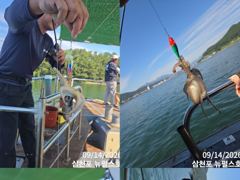 쭈꾸미 실시간 삼천포 뉴펄스호