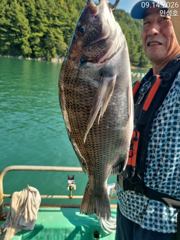 감성돔 현재