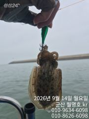 [군산] 14일 오전반 조황