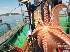 [진해] 13일세진호/돌문어대박kg.마릿수130수이상~화.가능~