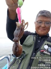 14일, 군산쭈꾸미~ 싸이즈도 점점~물때 상관없이 제대로 나오네요~~~군산낚시프라자 스마트호