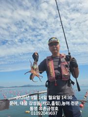 [통영] 통영 금정호 오후문어선상 마릿수 손맛 시작합니다 내일오전 자리있…