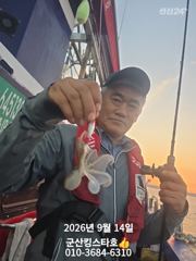 [군산] 군산킹스타호(9/14) 소수인원출조 쭈꾸미 마무리조황~
