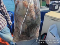 화!수!목!금! 뭐든지 갑니다~~먼저 예약 주시는붓 우선권!
