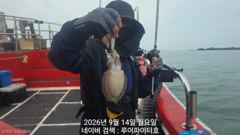 루어파이터호-9/14 월 [10물] 쭈꾸미/갑오징어 11명 조항 입니다.