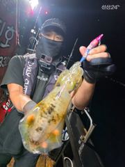 13일 무늬(팁런) 조황! 금일 모집중 입니다.