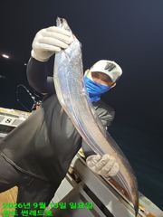 [완도썬레드호] 9/14일 먼바다 굵은 갈치 쿨러대박 조황