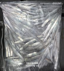 <내만갈치>폭풍 입질로 느나느나~마릿수Good!수,목,금~예약중