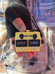 9월14쭈갑(장원☆255)