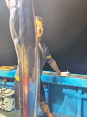4'5'6'7지등 왕빵씨알로 쿨러조황
