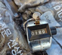 9월 14일 슈퍼노바호 쭈 조황