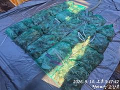 고강호 글만 보기