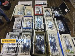 [진해] 4지급쌍걸이 쉴새없이 느나느나! 화요일출항 예약가능!
