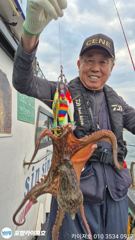 [포항] 14일 야간 돌 문어 조황 입니다