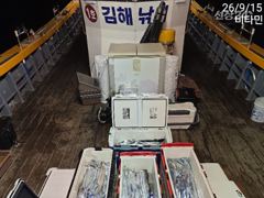 [진해] 먼바다갈치 오늘 3시 출항 예약가능합니다