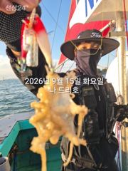 15일, 군산쭈꾸미~ 싸이즈도 점점~물때 상관없이 나오네요~실시간~~군산낚시프라자 나드리호