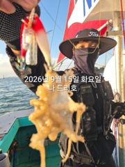 15일, 군산쭈꾸미~ 싸이즈도 점점~물때 상관없이 나오네요~실시간~~군산낚시프라자 나드리호