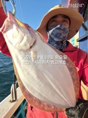 9월15일 연일 대광어~오늘도 나오고 있어요~참돔,우럭등 다양한…