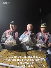 [통영] 통영 금정호 오후문어선상 마릿수 좋습니다!! 내일오전타임 자리있…