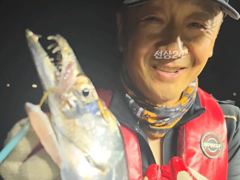 준내만4지급대까지전원만~쿨오늘예약가능
