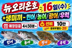 뉴오리온호 갑오징어 낚시 실시간 조황 (15일)