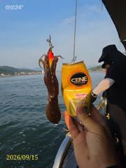 실시간 왕쭈꾸미 우당탕탕탕 쫙 쫙 달라붙습니다 즐낚하러오세요 자…