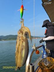 [사천] 실시간 왕쭈꾸미 우당탕탕탕 쫙 쫙 달라붙습니다 즐낚하러오세요 자…