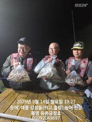 [통영] 통영 금정호 내일 오전문어 선상 출동합니다 자리여유있어요~