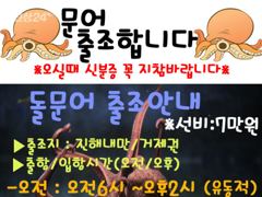 ~~*15일 대물2100g외 준수한 씨알,마리수 좋아요(낼예약가능)*~~